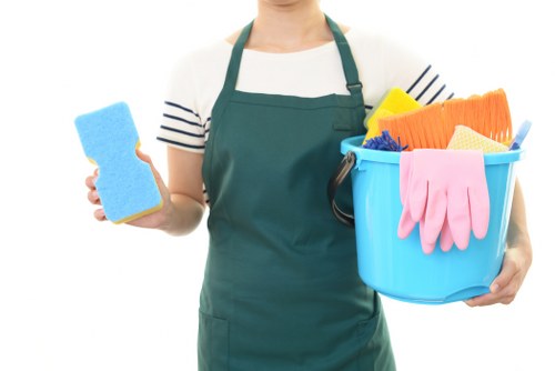 Deep domestic cleaning in a Paddington home