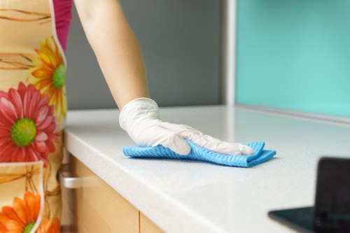 Bathroom deep cleaning for move out in Paddington