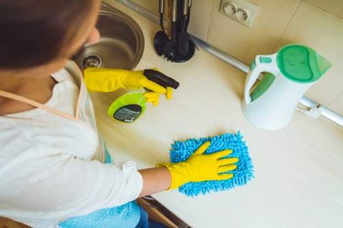 Daily house cleaning tasks in a modern kitchen