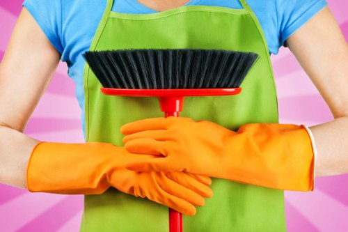 Seasonal window cleaning with streak-free results