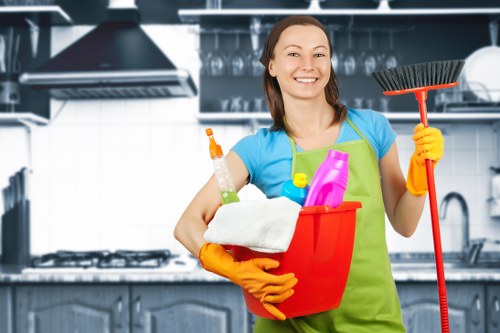 Regular home cleaning in a Paddington apartment
