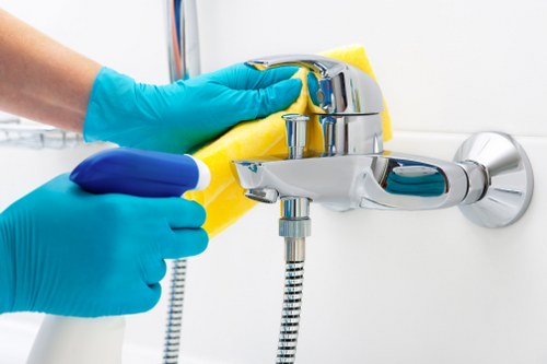 Different oven cleaning methods and tools