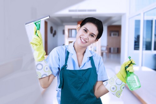 Bathroom sanitizing as part of end of tenancy cleaning