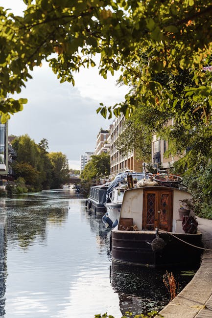 Two white boats, one labeled 'TRINITY 500,' are moored on calm canal water next to a grassy bank. The boats are positioned parallel to each other, with the larger boat featuring three blue seats visible inside. Behind the boats, there's a large tree with green foliage and a grassy area with slight wear marks on the grass. In the background, moored canal homes with dark-colored, rectangular structure walls, and windows can be seen, along with a glimpse of red and black elements. The scene is illuminated by natural daylight, and the water reflects the boats and trees, highlighting a clean, tranquil waterside setting. Paddington Cleaners specializes in domestic cleaning services, including surface cleaning and deep cleaning, ensuring hygiene and maintenance of residences like those near Little Venice in Paddington.