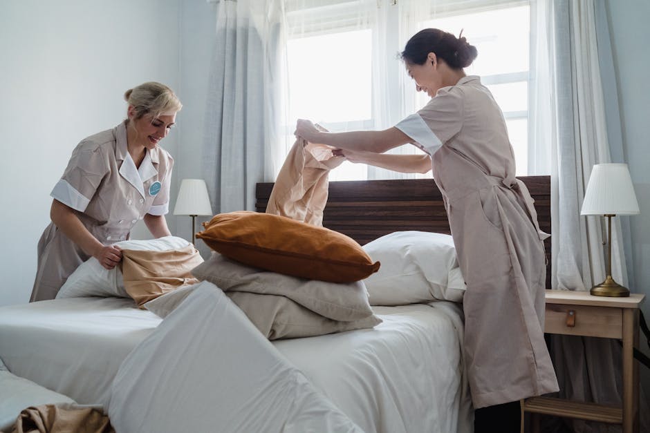 Two professional cleaning staff members from Paddington Cleaners are engaged in domestic surface cleaning within a living room. They are wearing dark uniforms with the company's logo and are interacti